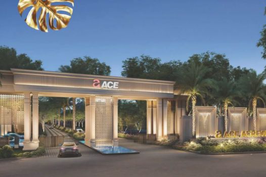 Ace Acreville Expressway